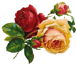 salut � tous le monde